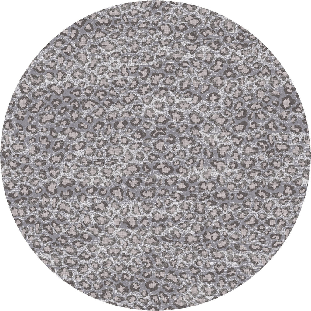 Snow Leopard