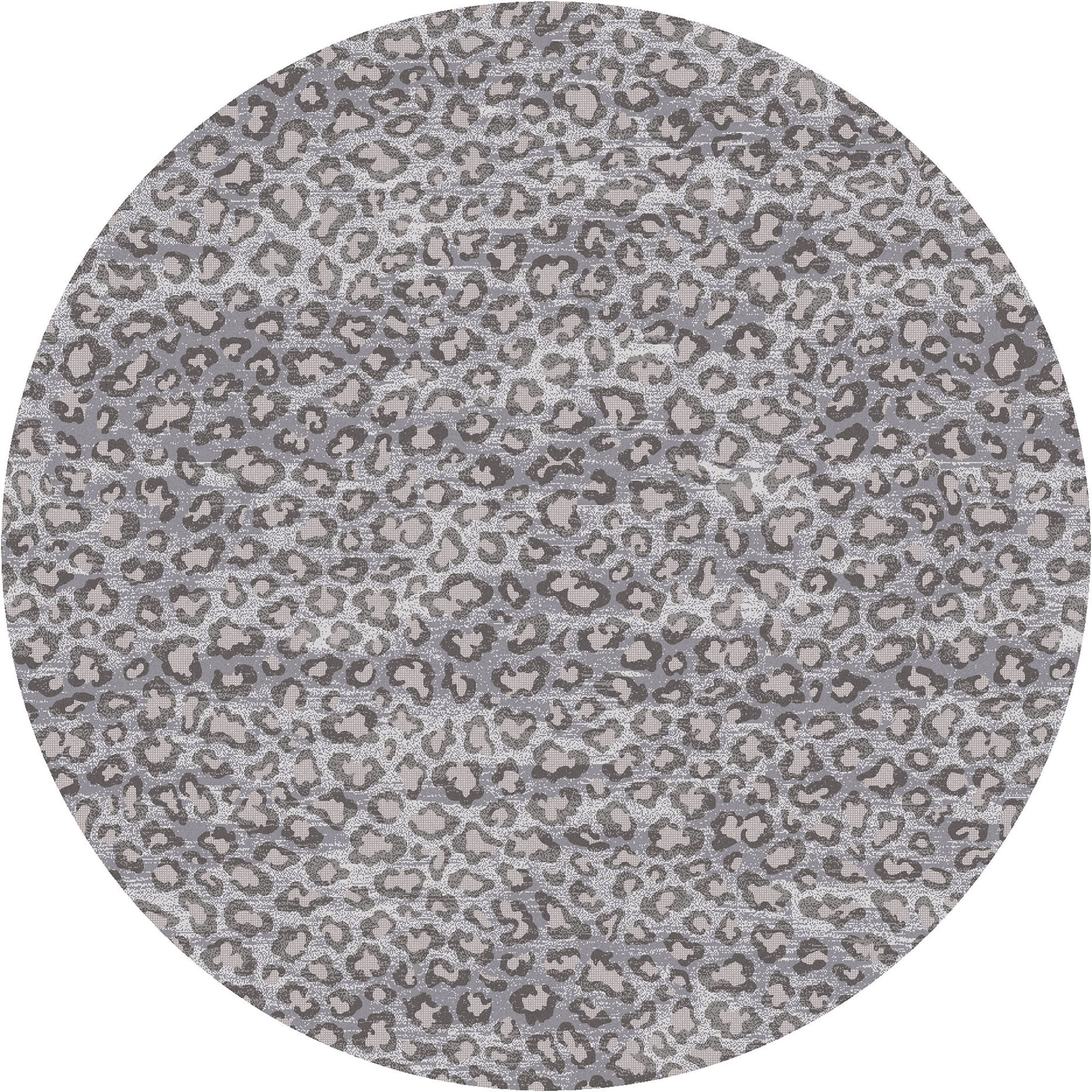 Snow Leopard