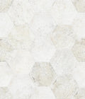 SAN FRANCISCO Hexagon Ceramic Tile by Shaw