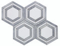 Nancy Blue Marble Mosaic 10.75 x 12.25