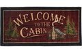 Welcome to the Cabin