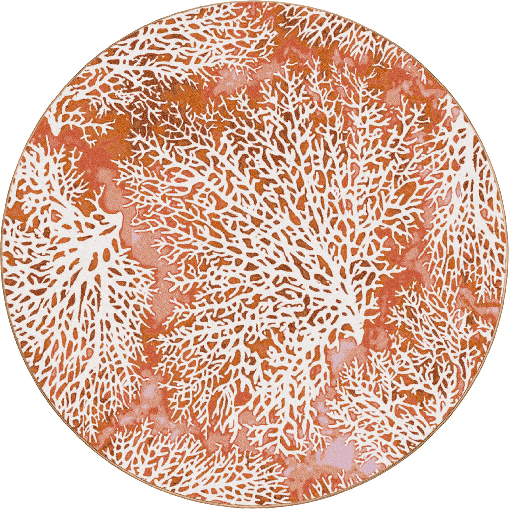 Day Dreams Coral
