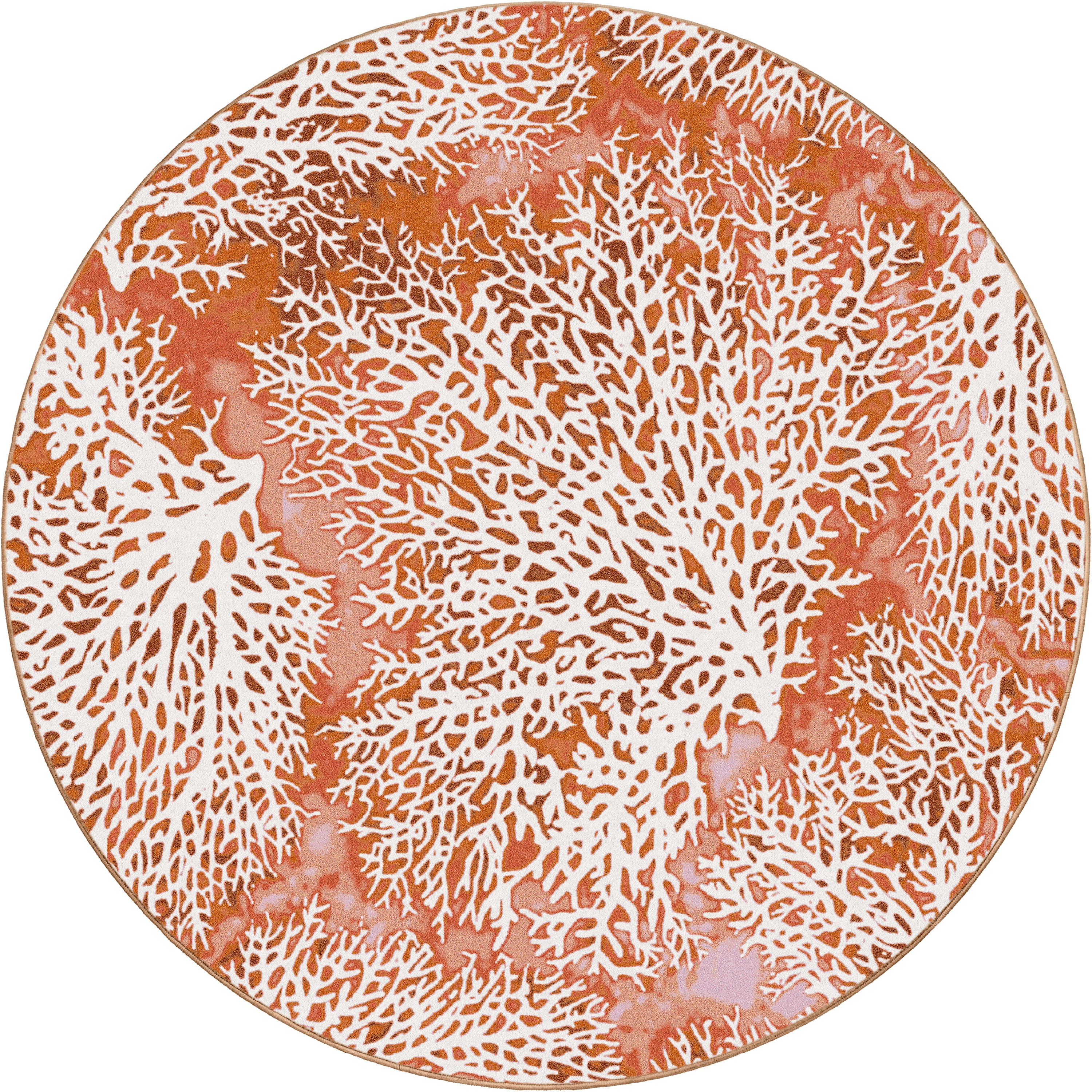 Day Dreams Coral