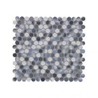 Penny Round Mosaic