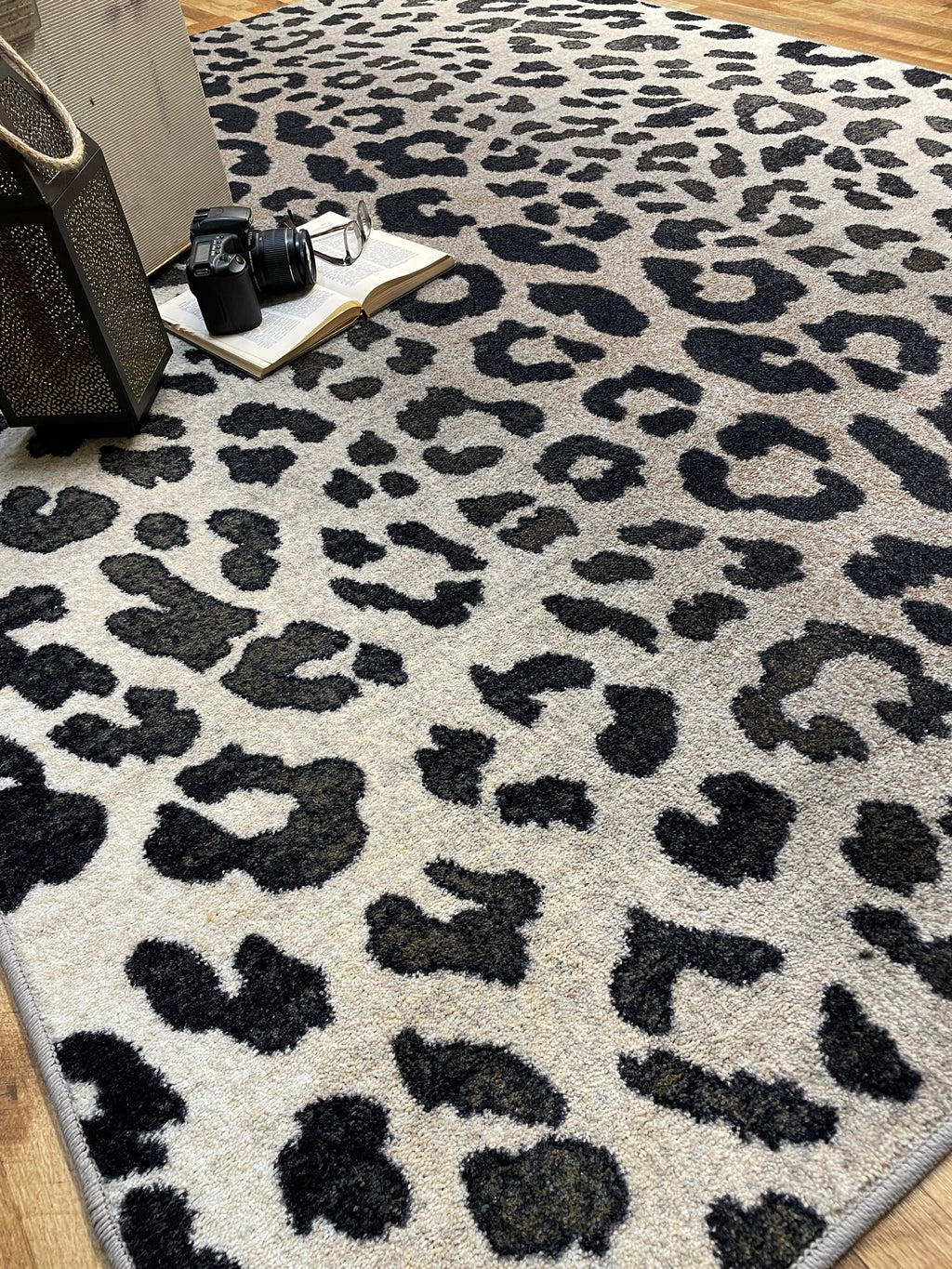 Snow Leopard