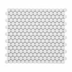 Penny Round Mosaic