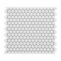 Penny Round Mosaic