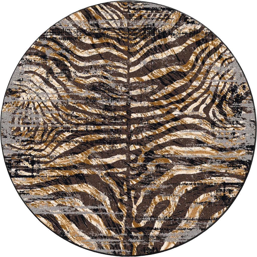Midnight Zebra