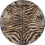 Midnight Zebra