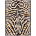 Midnight Zebra