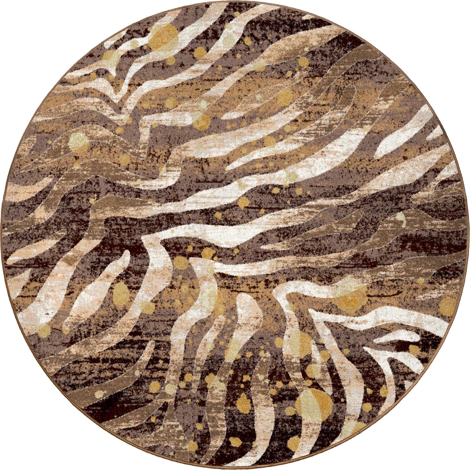 Modern Zebra