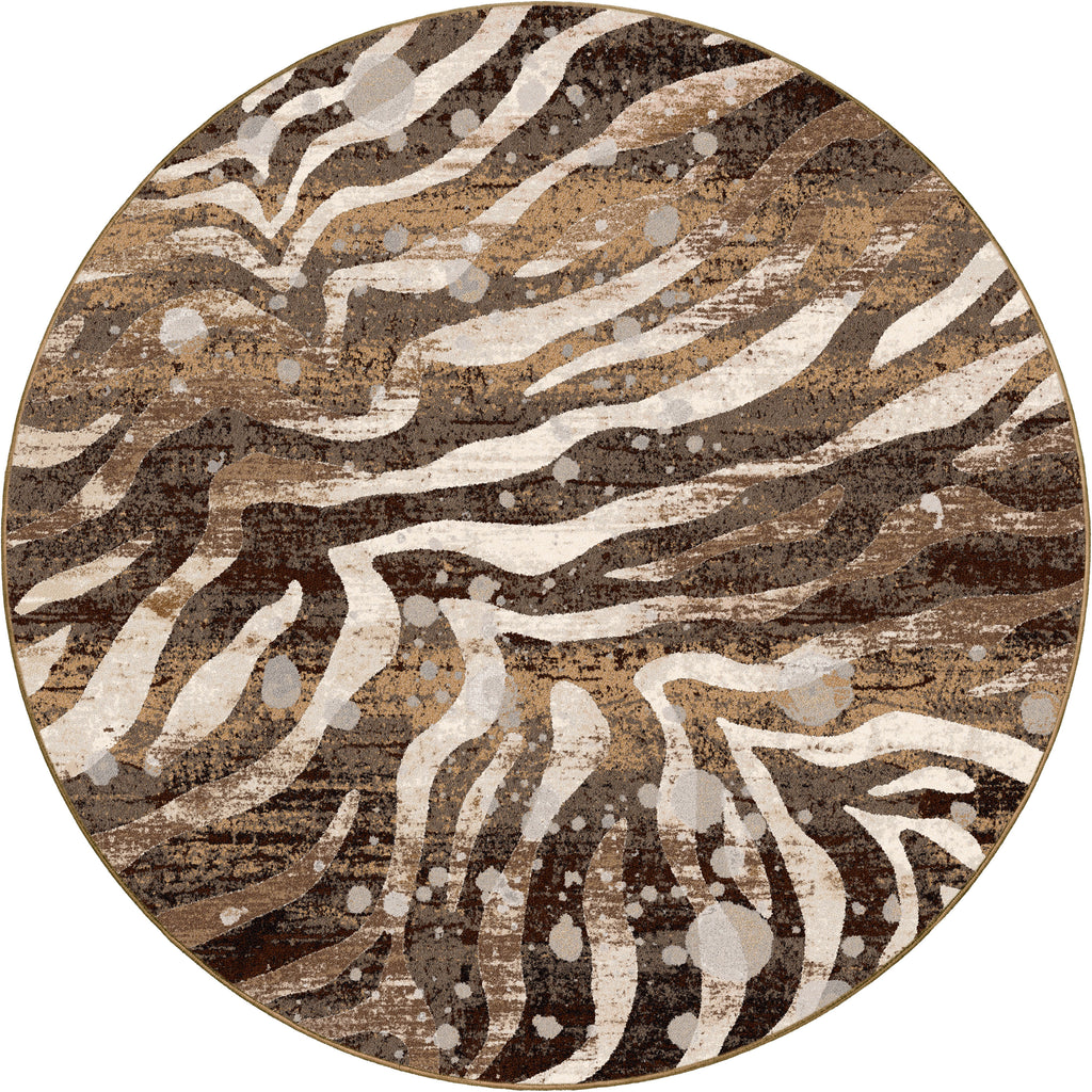 Modern Zebra