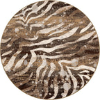 Modern Zebra