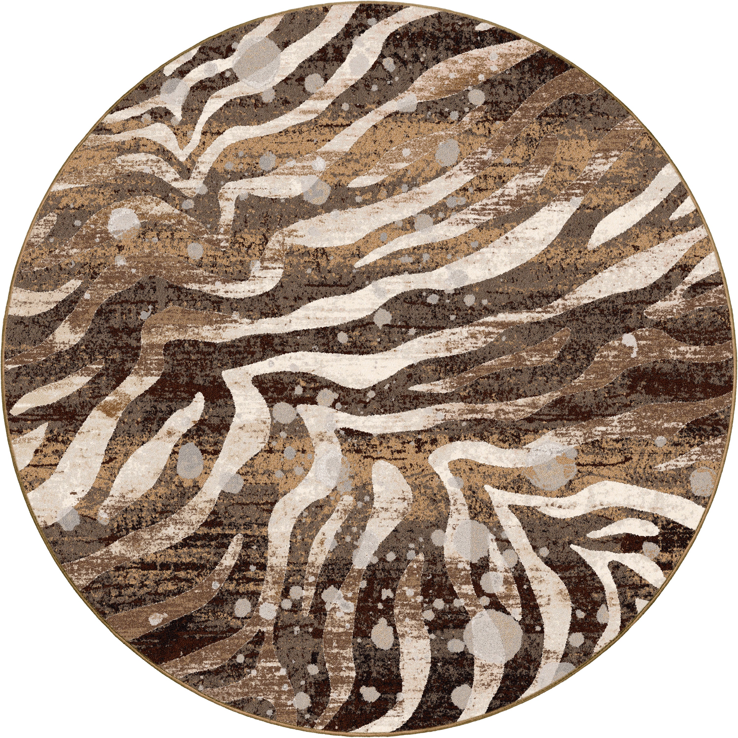 Modern Zebra