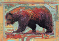 Ruiz Walking Bear