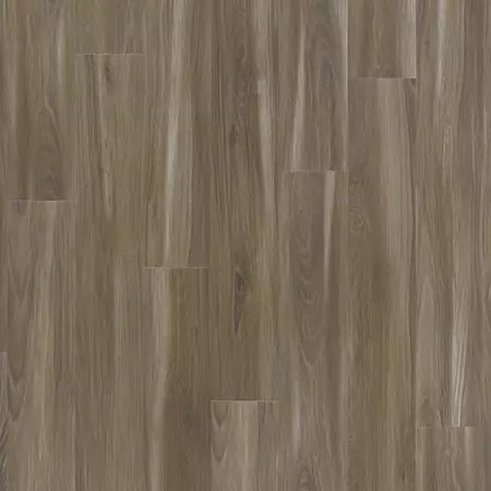 Explorer's Cove Luxury Vinyl Plank by Mohawk