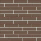 ASCENDANT 2X8 Glass Wall tile by Shaw