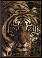 Big Cat