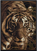 Big Cat