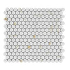 Penny Round Mosaic