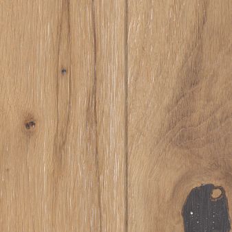 CASTLEWOOD OAK Hardwood by Shaw