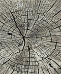 Denver - Timber (Gray)