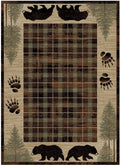 American Destination - Big Timber (Brown)