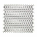 Penny Round Mosaic