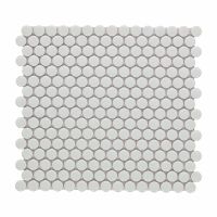 Penny Round Mosaic