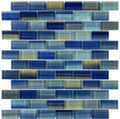 SPLASH 1 x 2 Glass Mosaic Tile