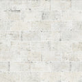 SAN FRANCISCO 4X8 Ceramic Tile by Shaw