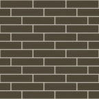 ASCENDANT 2X8 Glass Wall tile by Shaw