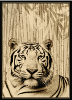 White Tiger