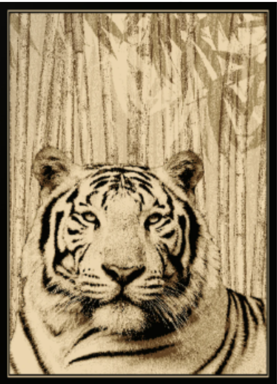 White Tiger