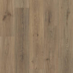 FRONTIER PLUS Luxury Vinyl Plank by Shaw